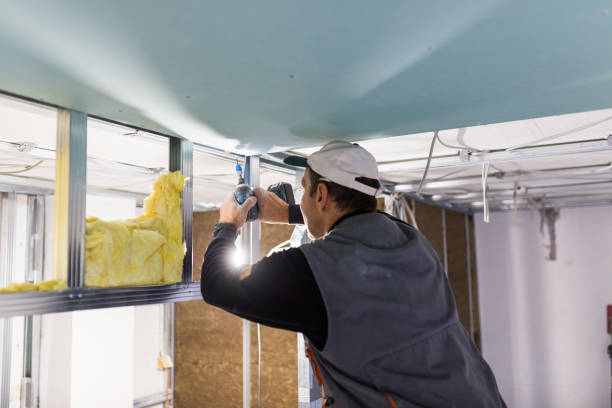 Best Energy Efficiency Solutions in Lyford, TX