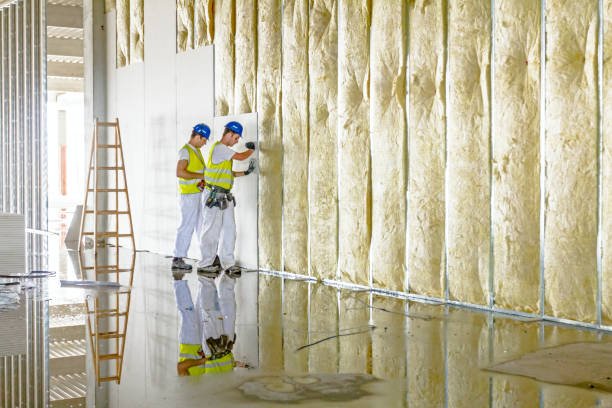 Best Insulation for Specific Applications in Lyford, TX